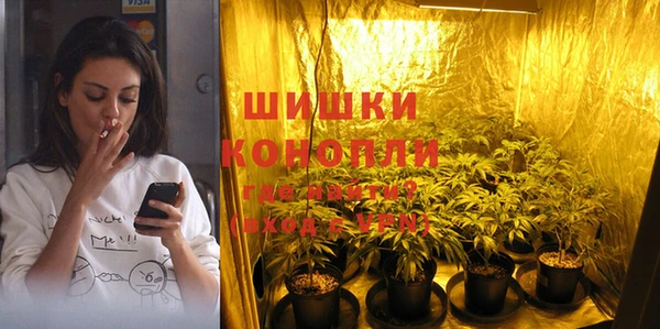 сатива Алексин