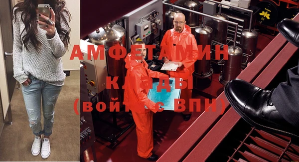 apvp Иннополис