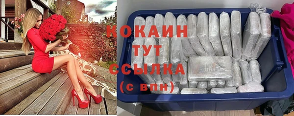 соль ск Алзамай