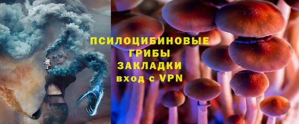 МДПВ Абдулино